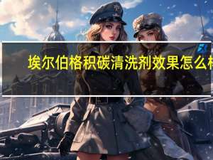 埃尔伯格积碳清洗剂效果怎么样（埃尔博）