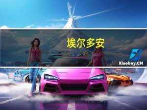 埃尔多安：瑞典尚未履行其“入约”义务