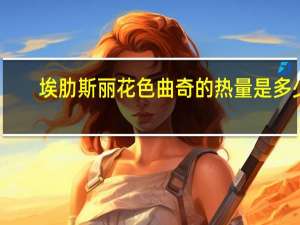 埃肋斯丽 花色曲奇的热量是多少