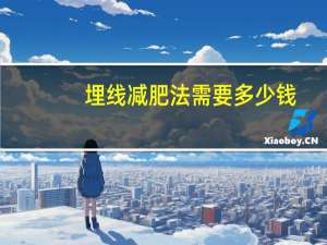 埋线减肥法需要多少钱，埋线减肥价格多少