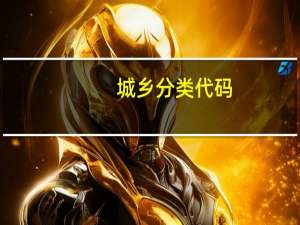 城乡分类代码