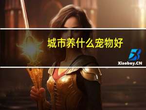 城市养什么宠物好
