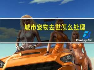 城市宠物去世怎么处理