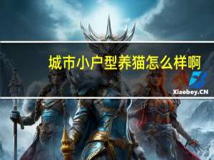 城市小户型养猫怎么样啊