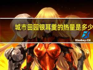 城市田园 银耳羹的热量是多少