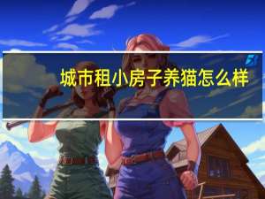 城市租小房子养猫怎么样