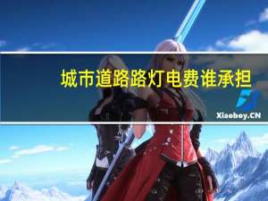 城市道路路灯电费谁承担