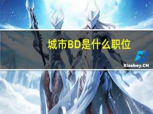 城市BD是什么职位