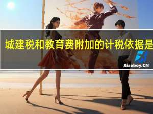 城建税和教育费附加的计税依据是什么