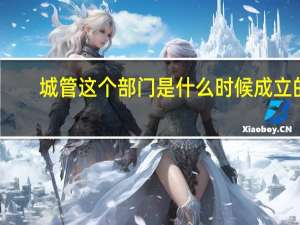 城管这个部门是什么时候成立的