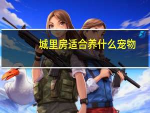 城里房适合养什么宠物