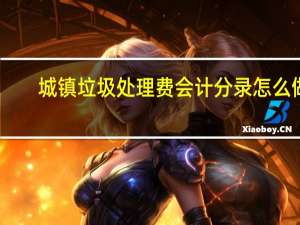 城镇垃圾处理费会计分录怎么做