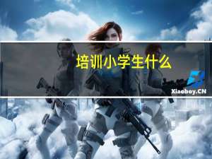 培训小学生什么