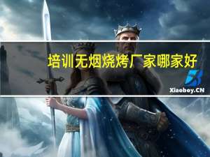 培训无烟烧烤厂家哪家好