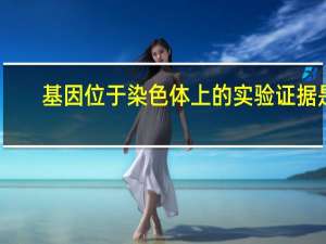 基因位于染色体上的实验证据是（ ）