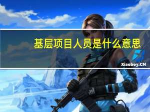 基层项目人员是什么意思