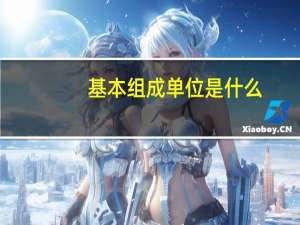 基本组成单位是什么