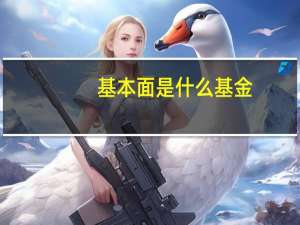 基本面是什么基金（基本面是什么）