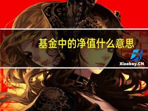基金中的净值什么意思