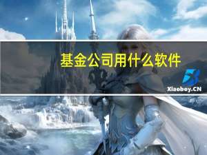 基金公司用什么软件
