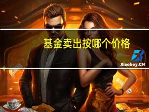 基金卖出按哪个价格（基金卖出按哪天价格）