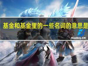 基金和基金里的一些名词的意思是什么