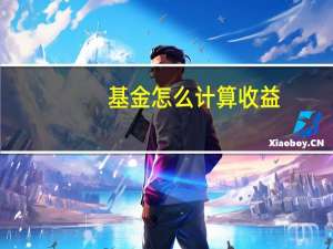 基金怎么计算收益