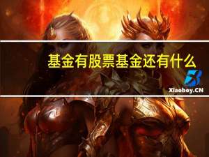 基金有股票基金还有什么