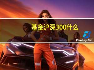 基金沪深300什么
