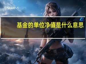 基金的单位净值是什么意思（基金的单位净值是什么意思）