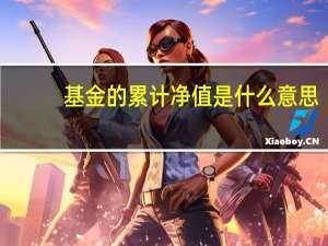 基金的累计净值是什么意思（基金中单位净值和累计净值是什么意思）