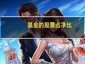 基金的股票占净比
