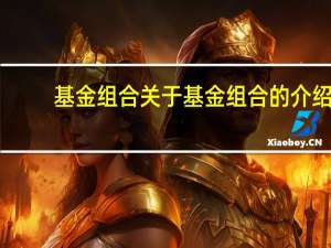 基金组合 关于基金组合的介绍