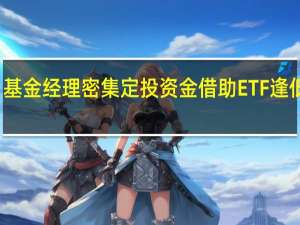 基金经理密集定投 资金借助ETF逢低布局