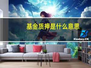 基金质押是什么意思