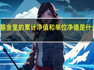 基金里的累计净值和单位净值是什么意思（基金单位净值和累计净值是什么意思?有人知道吗）