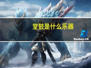堂鼓是什么乐器