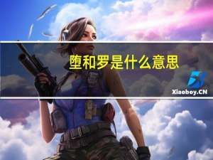 堕和罗是什么意思