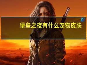 堡垒之夜有什么宠物皮肤