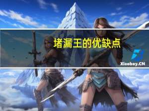 堵漏王的优缺点（补漏王）