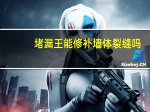 堵漏王能修补墙体裂缝吗