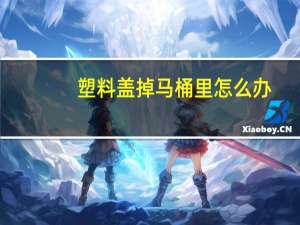 塑料盖掉马桶里怎么办