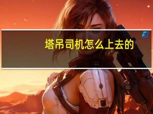 塔吊司机怎么上去的