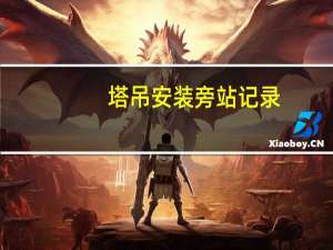 塔吊安装旁站记录