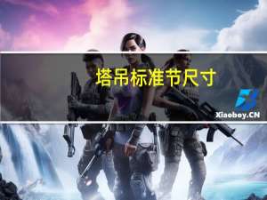 塔吊标准节尺寸