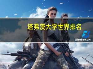 塔弗茨大学世界排名