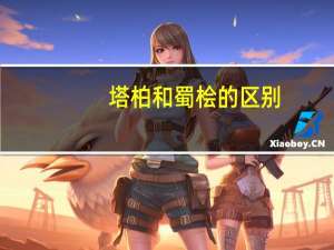 塔柏和蜀桧的区别