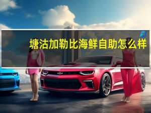 塘沽加勒比海鲜自助怎么样