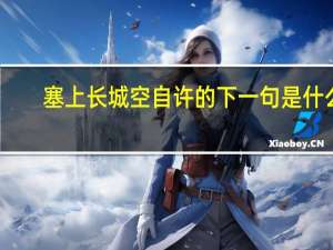 塞上长城空自许的下一句是什么