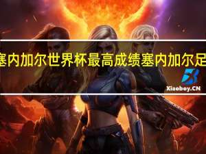 塞内加尔世界杯最高成绩 塞内加尔足球排名